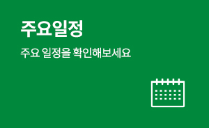주요일정